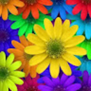 Meet your Posher, Tiffany-knight